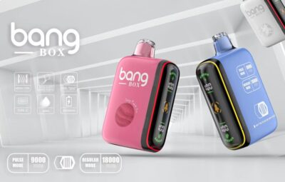 Bang 18000 Puff Vape Screen Display Electronic Cigarette Vs Geek Bar Pulse Rocket Puff 18k - Image 4