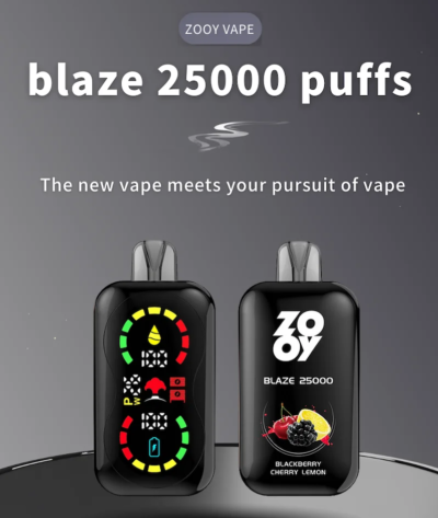 ZOOY BLAZEN 25000 PUFF European warehouses disposable vape full scream display double mesh coil puff 25k vaper