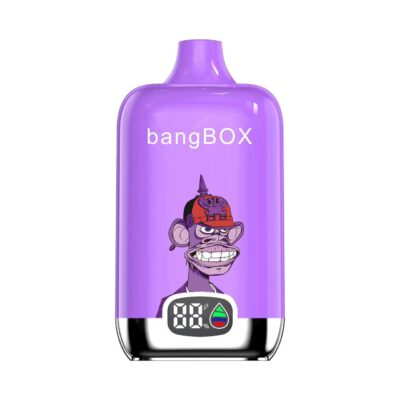 Original Bang Box 15000 puff 15k Digital Disposable Vape Mesh Coil Vaper Vapes Disposable Puff 15000 - Image 3