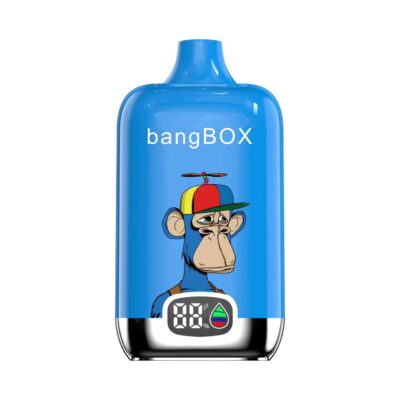 Original Bang Box 15000 puff 15k Digital Disposable Vape Mesh Coil Vaper Vapes Disposable Puff 15000 - Image 4