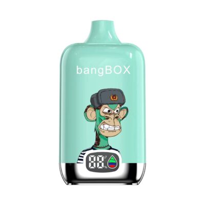 Original Bang Box 15000 puff 15k Digital Disposable Vape Mesh Coil Vaper Vapes Disposable Puff 15000 - Image 5