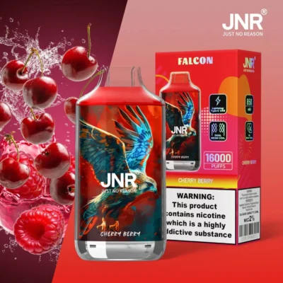 JNR Falcon 16000 Puffs Wholesale Disposable Vape Pen China Vaper JNR Puff 16k