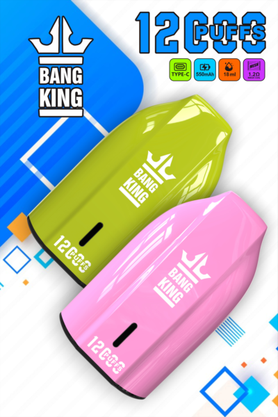 Bang king 12k Puffs Disposable E cigarettes Vape Pod Device 650mAh Battery 18ml Prefilled Cartridge Stick puff 12000 tornado - Image 6