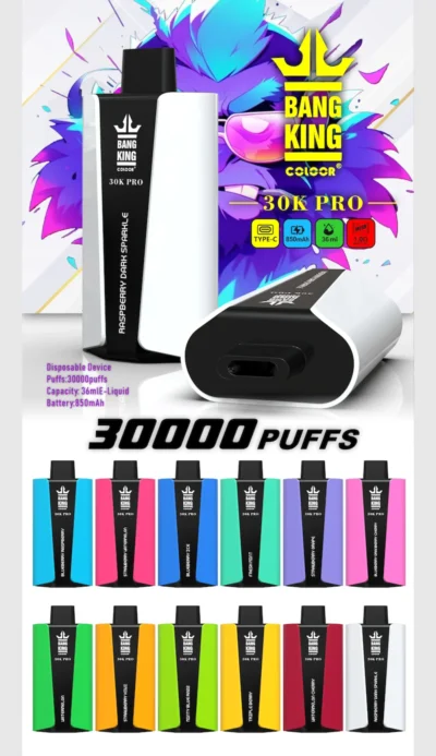 Bang King 30k PRO Puffs Disposable Vape Single Flavor 36ml Puff 30000 Vaper Shop - Image 2