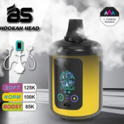 BS Hookah Head (125k puffs)