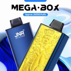 Mega Box 25000 puffs jnr 25k puff