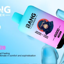 BANG LEADER 45K PUFF 45000