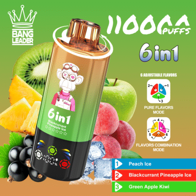 bang leader 110k puff 10000 - Image 3